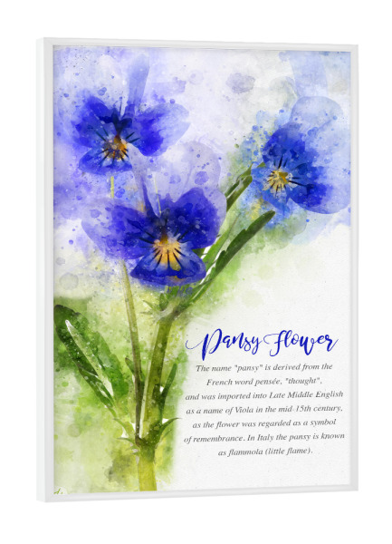 Poster mit weißem Rahmen "Pansy Flowers" artboxONE - Natur,Floral