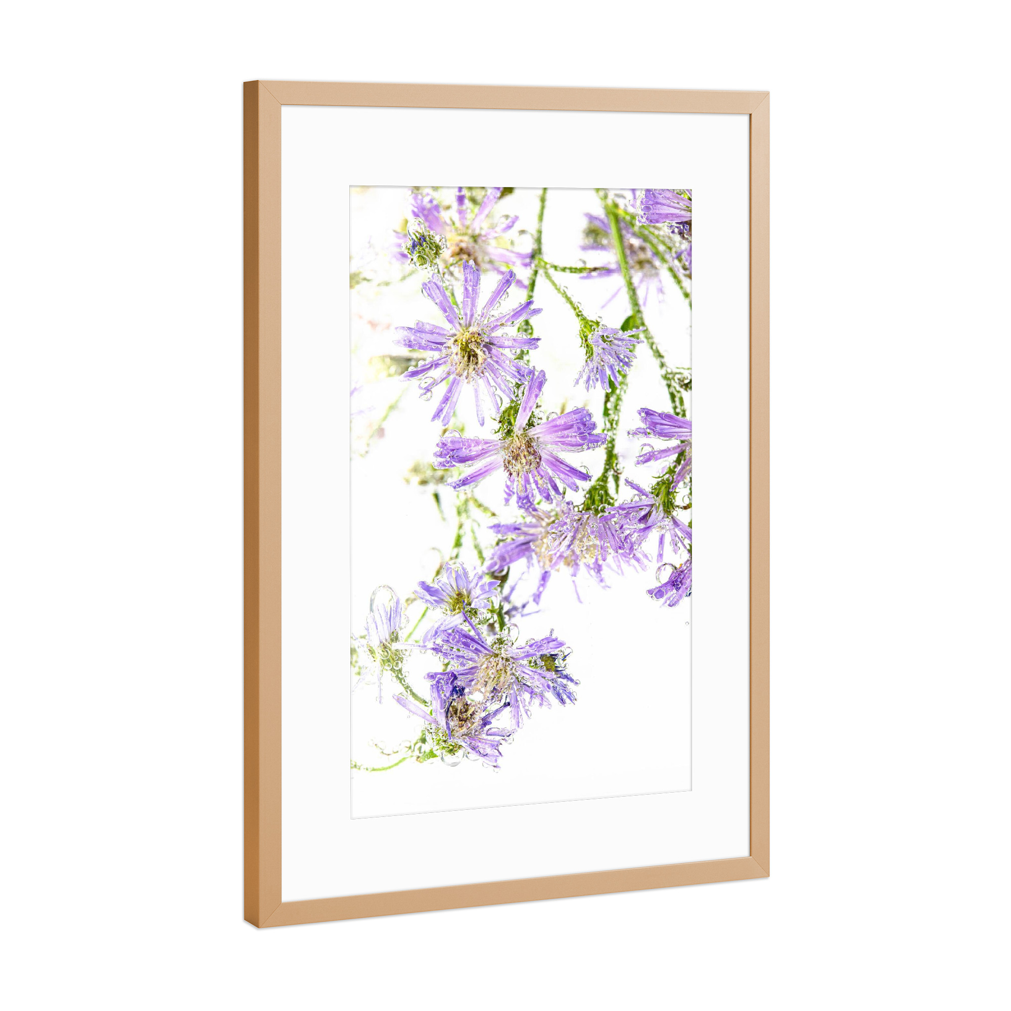 Poster mit Rahmen Kupfer "Wildblumen im Wasser" artboxONE - Floral