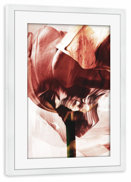 Poster mit Rahmen weiß "Tulip flower abstract by Tas" artboxONE - Natur,Floral,Abstrakt