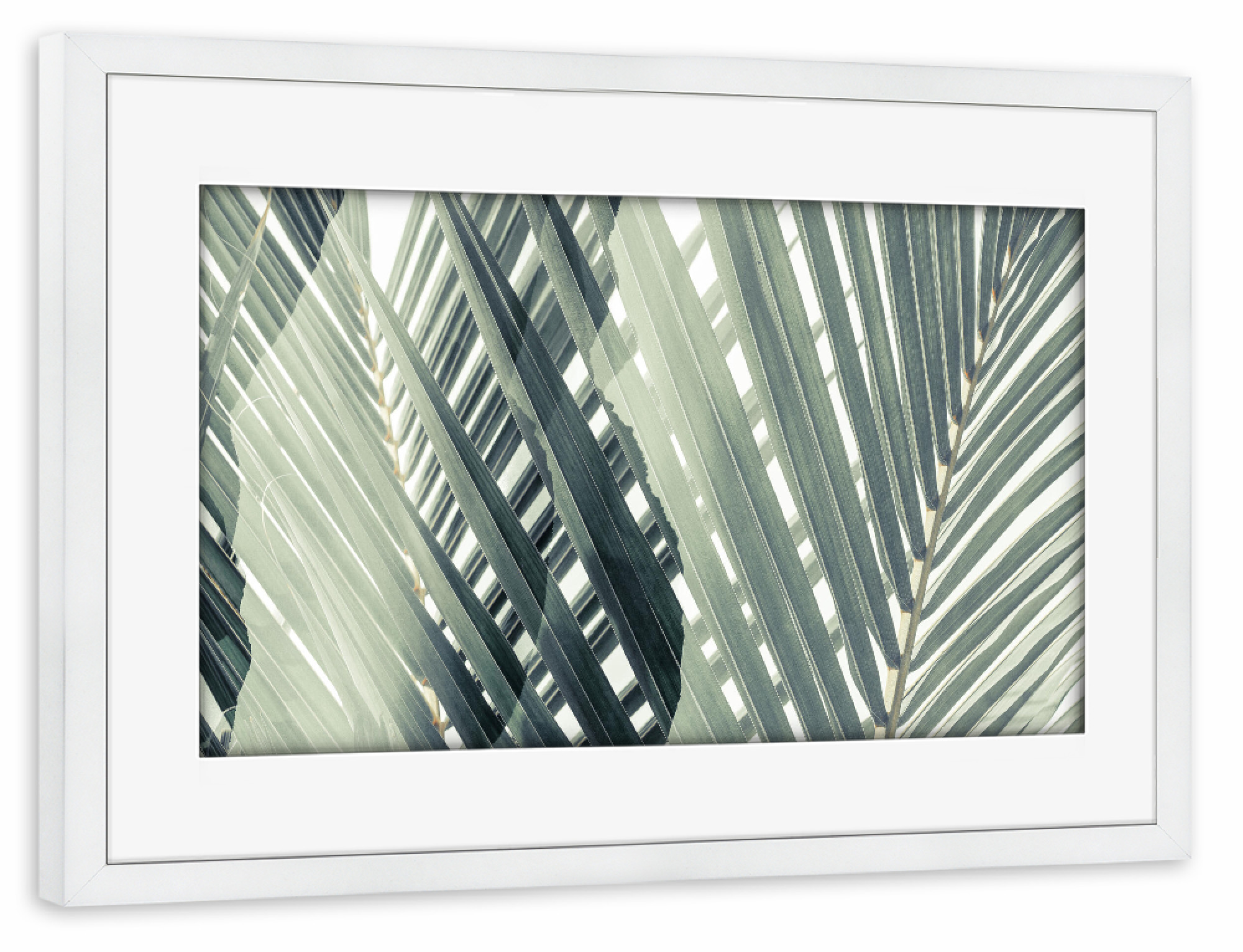Poster mit Rahmen weiß "Tropical Leaves by Tas" artboxONE - Natur,Floral
