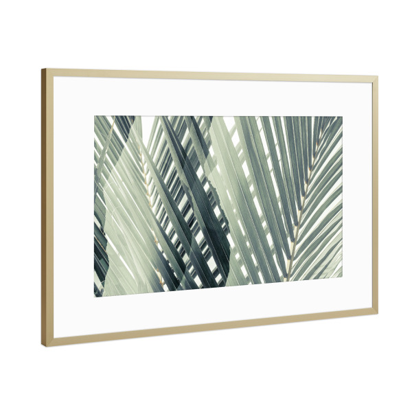 Poster mit Rahmen Gold "Tropical Leaves by Tas" artboxONE - Natur,Floral