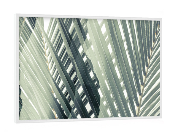 Poster mit weißem Rahmen "Tropical Leaves by Tas" artboxONE - Natur,Floral