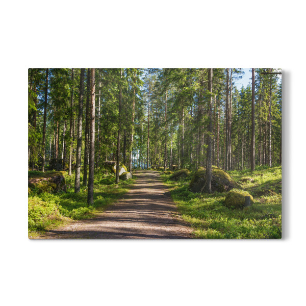 Galerie-Print "Waldweg zum See" 30x20 cm artboxONE