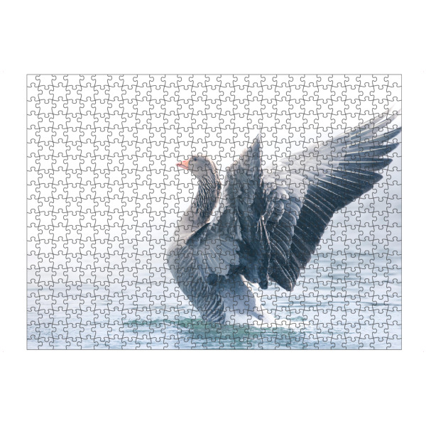Puzzle Ravensburger "Gänsegymnastik" artboxONE - Natur,Tiere