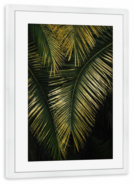 Poster mit Rahmen weiß "Golden Moments Tropical Palm Leaf" artboxONE - Natur