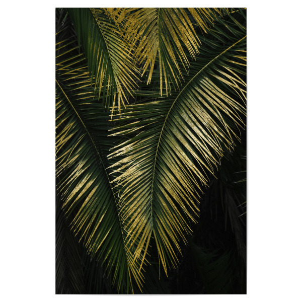 Poster 30x20 cm "Golden Moments Tropical Palm Leaf" artboxONE - Natur