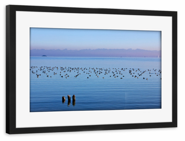 Poster mit Rahmen schwarz "Abendstimmung am Bodensee" artboxONE - Natur,Reise,Tiere