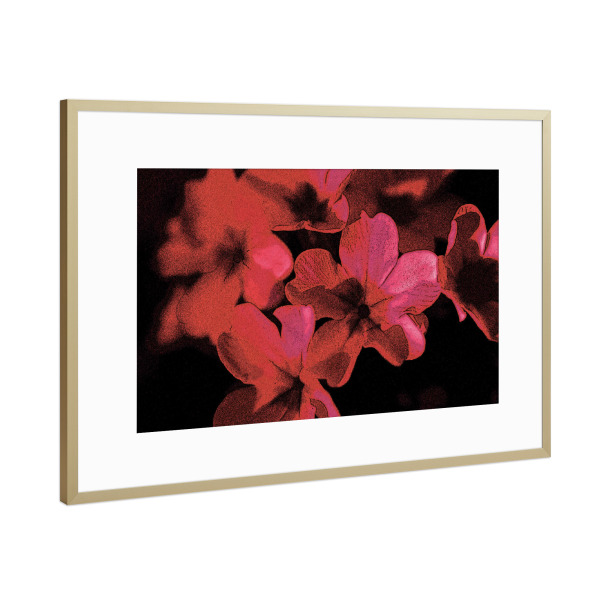 Poster mit Rahmen Gold "Pop Art Blumen Pink Rot Schwarz" artboxONE - Natur,Floral,Abstrakt,Für Mama