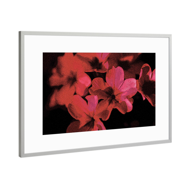 Poster mit Rahmen Silber "Pop Art Blumen Pink Rot Schwarz" artboxONE - Natur,Floral,Abstrakt,Für Mama