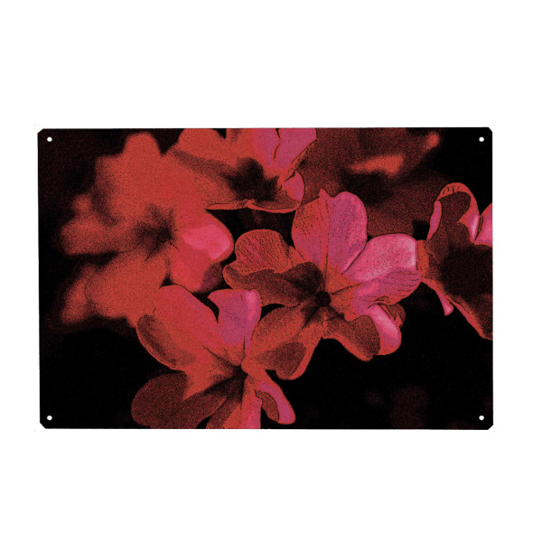 Holzbild "Pop Art Blumen Pink Rot Schwarz" artboxONE - Natur,Floral,Abstrakt,Für Mama