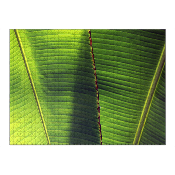 Puzzle Ravensburger "Exotisches Bananen Blatt" artboxONE - Natur,Floral,Abstrakt
