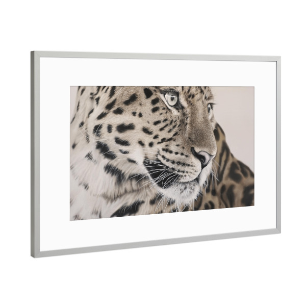 Poster mit Rahmen Silber "Leopard Love" artboxONE - Natur,Tiere