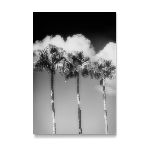 Galerie-Print "Miami beach ocean drive" 30x20 cm artboxONE