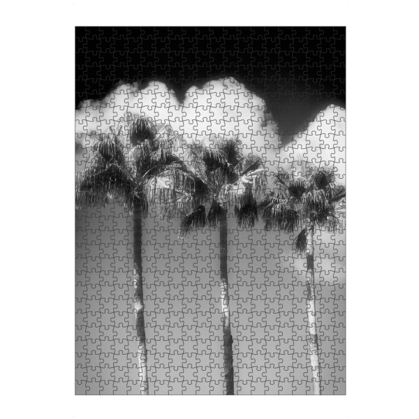 artboxONE Puzzle "Miami beach ocean drive" artboxONE - Reise,Floral,Schwarzweiß