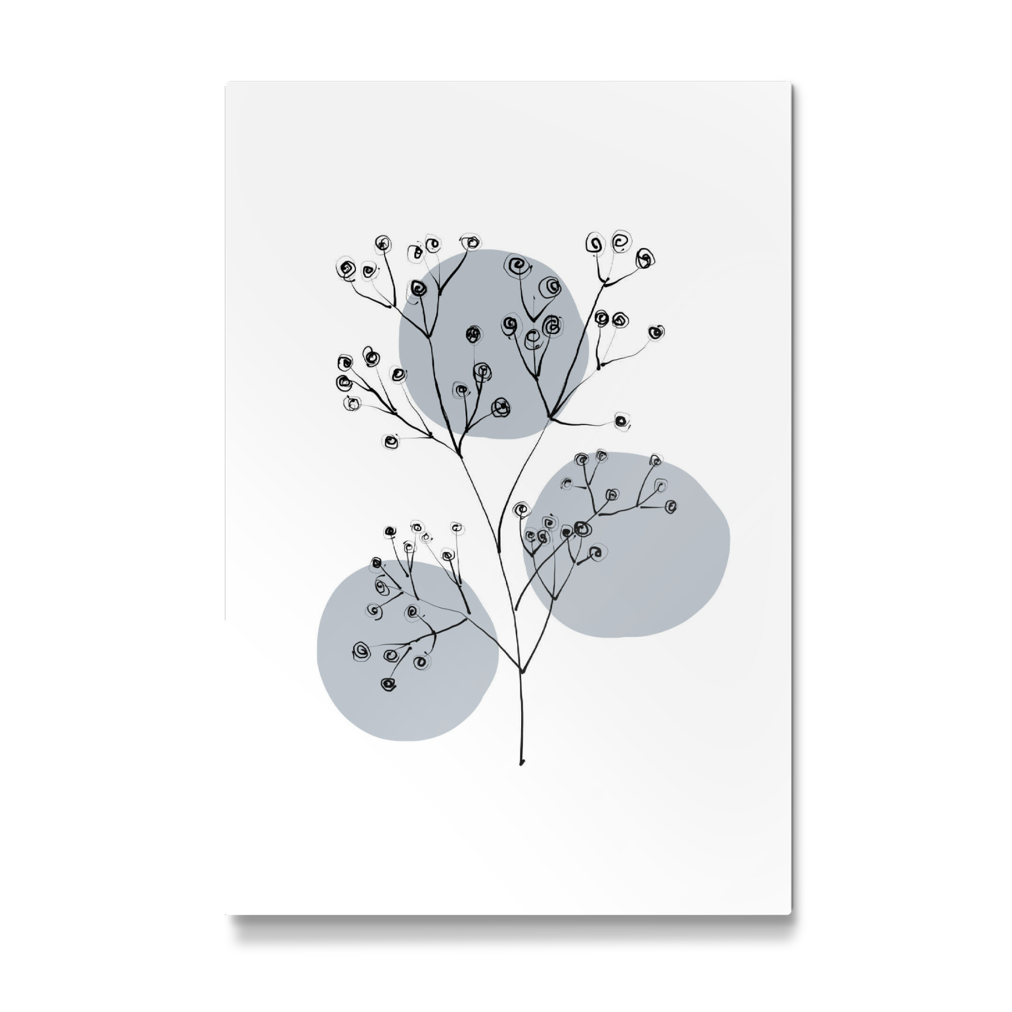 Galerie-Print "Buffiere-Botanicals Schleierkraut" 75x50 cm artboxONE