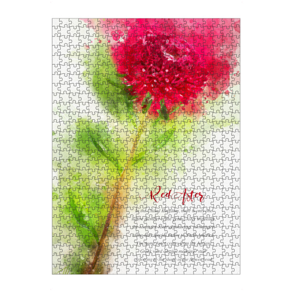Puzzle Ravensburger "Red Aster" artboxONE - Natur,Floral