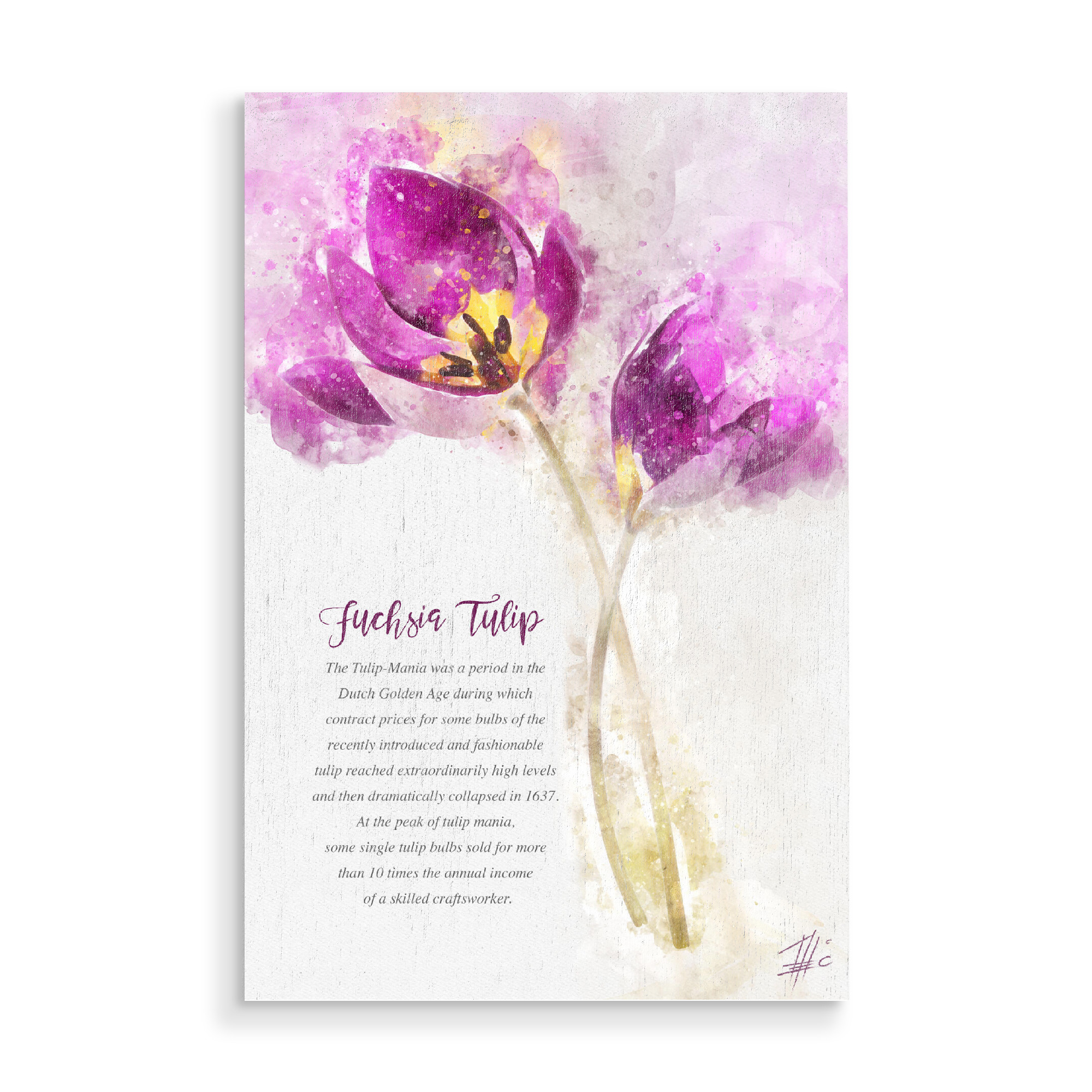 Holzbild "Fuchsia Tulip" artboxONE - Natur,Floral