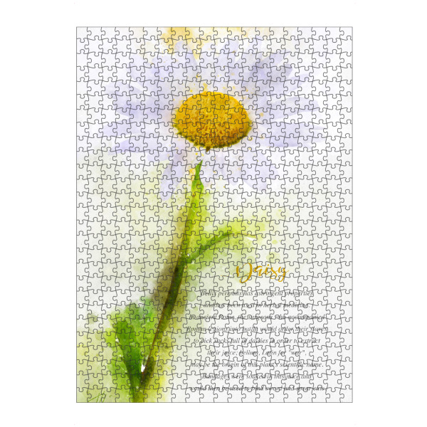 artboxONE Puzzle "Daisy Flower" artboxONE - Natur,Floral