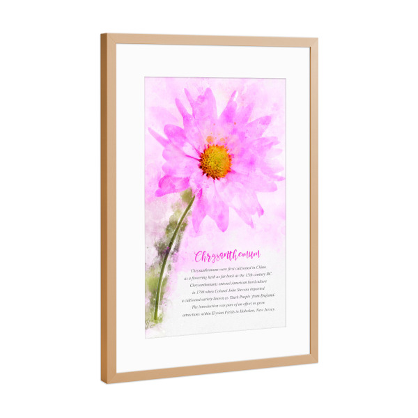 Poster mit Rahmen Kupfer "Chrysanthemum" artboxONE - Natur,Floral