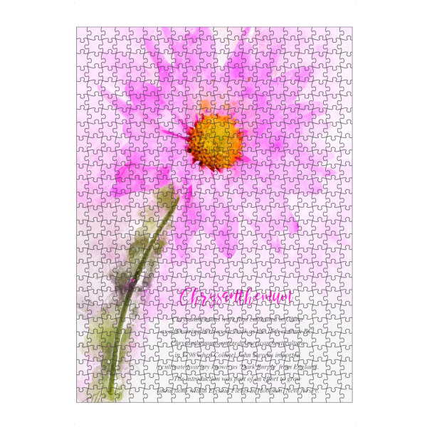Puzzle Ravensburger "Chrysanthemum" artboxONE - Natur,Floral