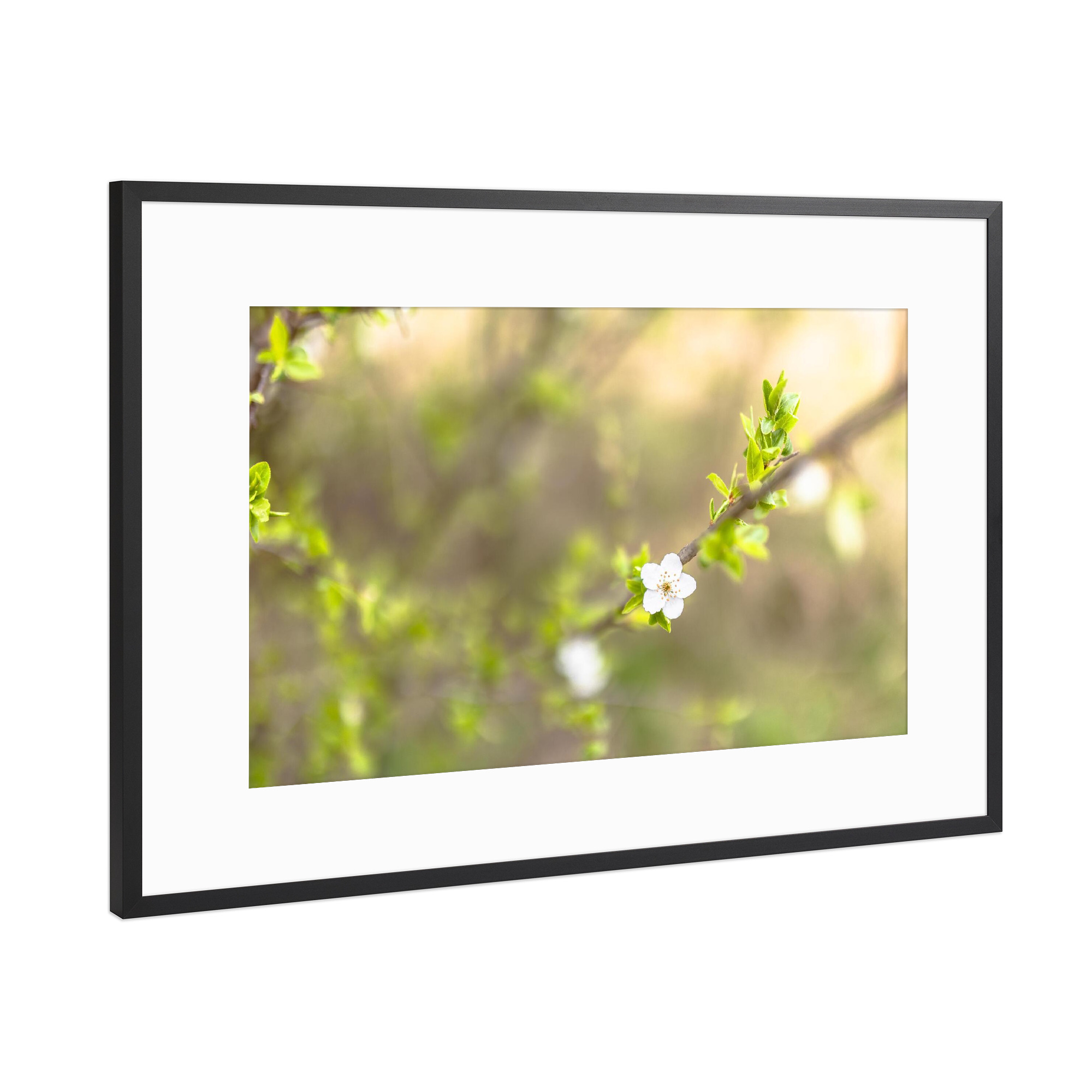 Poster mit Rahmen Schwarz (Metallic) "Der grüne Frühling" artboxONE - Floral
