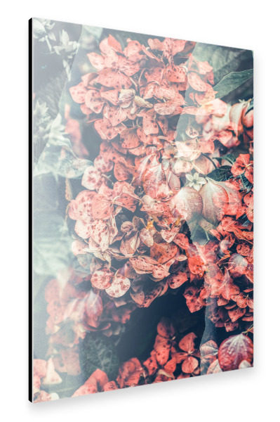 Alu-Dibond "Garden by Tas" 30x20 cm artboxONE