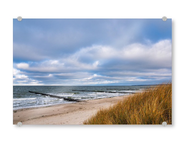 Acrylglasbild "Dünengras und Buhnen" artboxONE - Natur,Reise,Reise / Strand und Meer