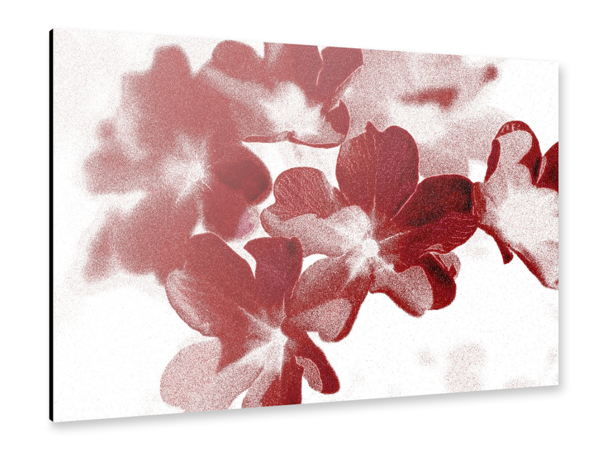 Alu-Dibond "Abstrakte Blumen Rot Braun Weiß" 30x20 cm artboxONE