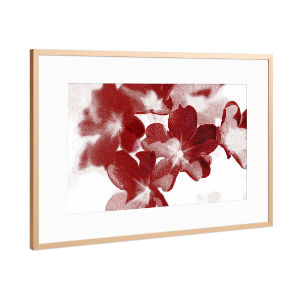 Poster mit Rahmen Kupfer "Abstrakte Blumen Rot Braun Weiß" artboxONE - Natur,Floral,Für Mama