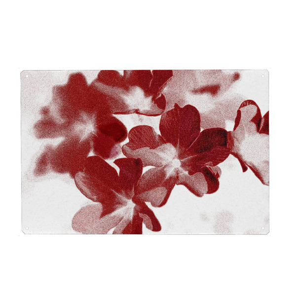 Metall Poster "Abstrakte Blumen Rot Braun Weiß" artboxONE - Natur,Floral,Für Mama