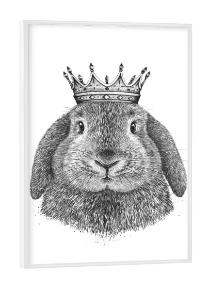 Poster mit weißem Rahmen "King rabbit" artboxONE - Natur,Tiere,Weihnachten,Für Papa,Lustig