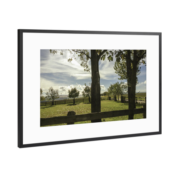 Poster mit Rahmen Schwarz (Metallic) "Bucolism I" artboxONE - Natur
