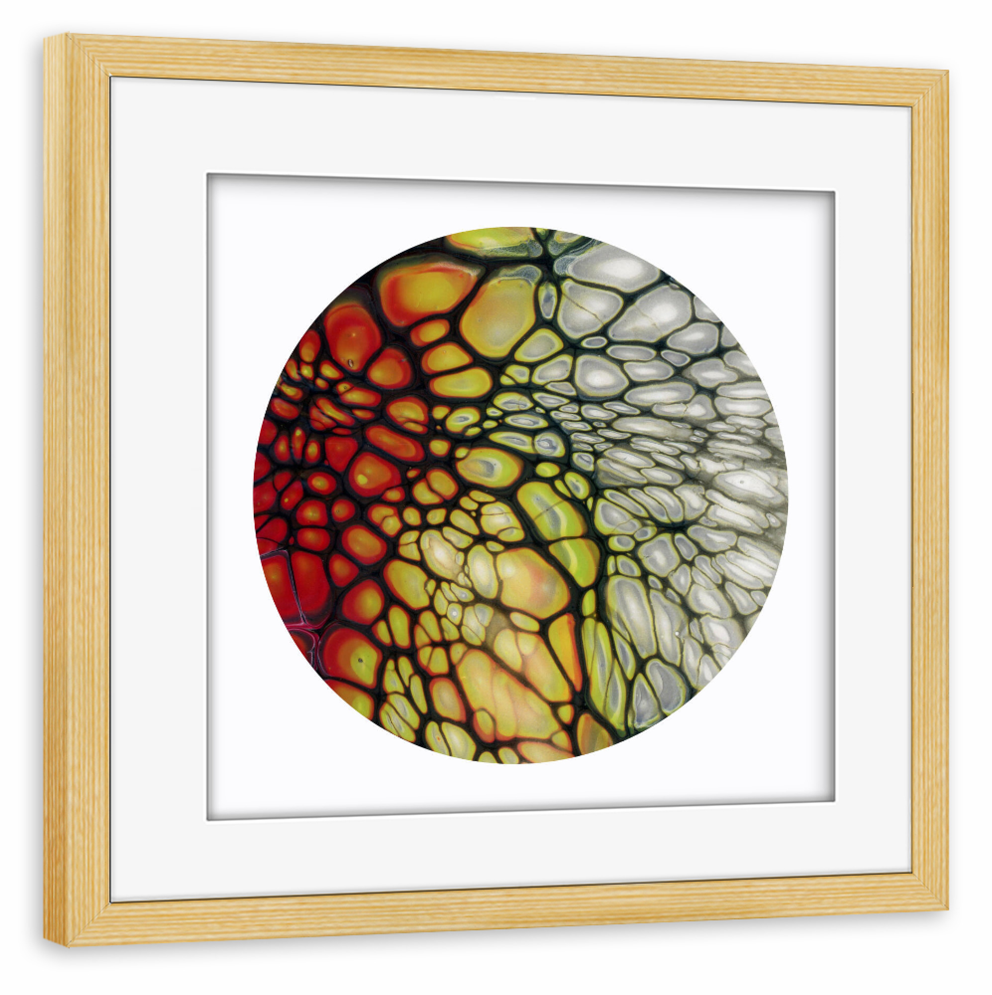 Poster mit Rahmen kiefer "Only colorful Cells" artboxONE - Abstrakt