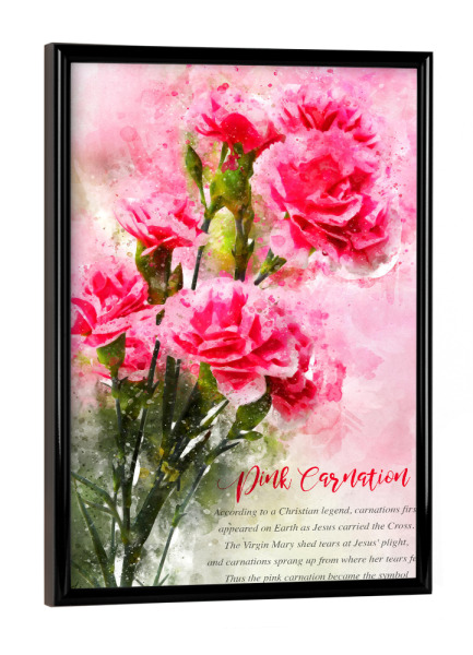 Poster mit schwarzem Rahmen "Pink Carnation" artboxONE - Natur,Floral