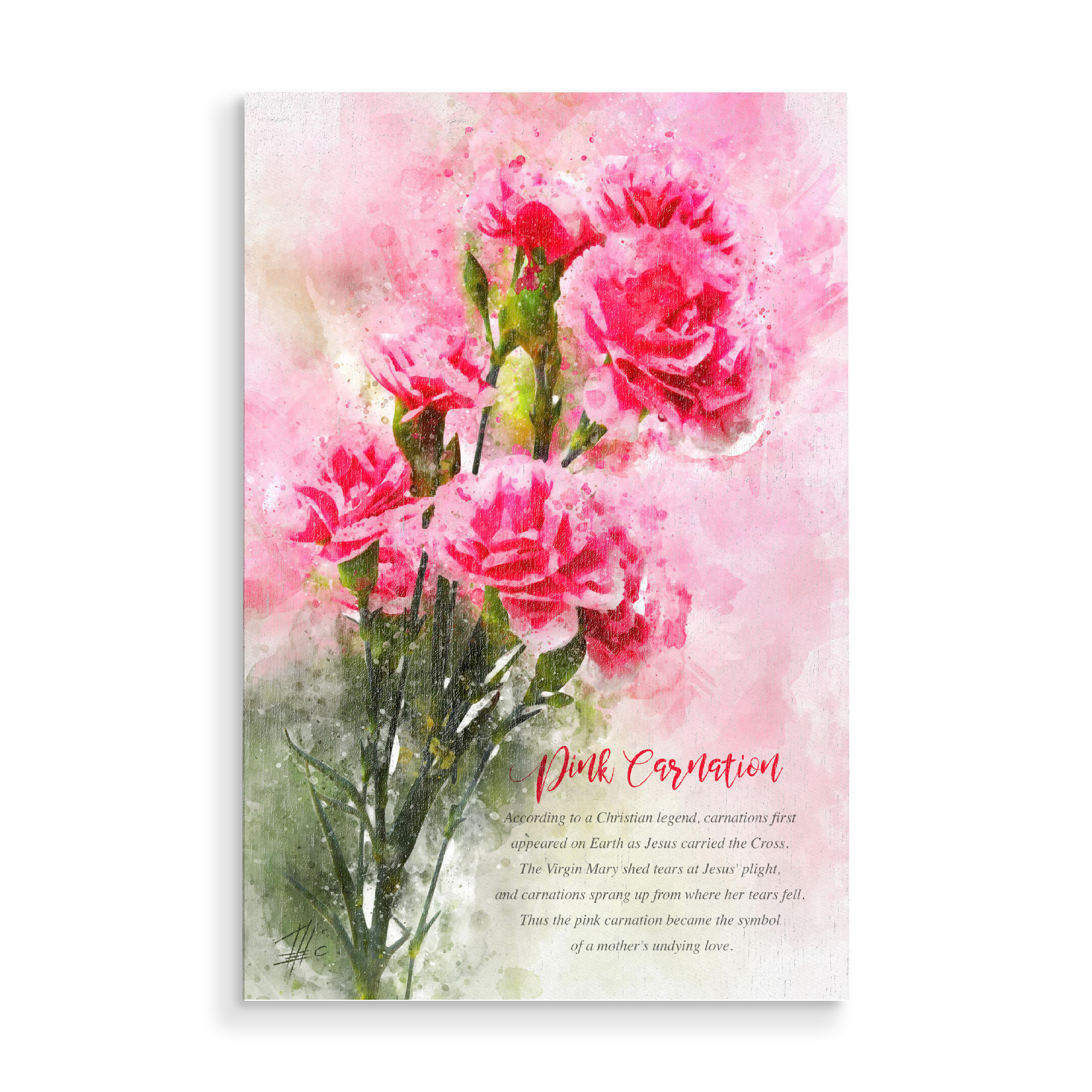 Holzbild "Pink Carnation" artboxONE - Natur,Floral