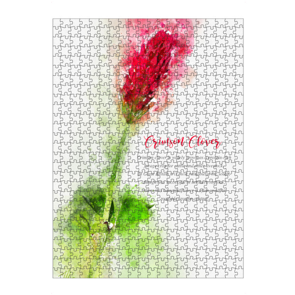 Puzzle Ravensburger "Crimson Clover" artboxONE - Natur,Floral
