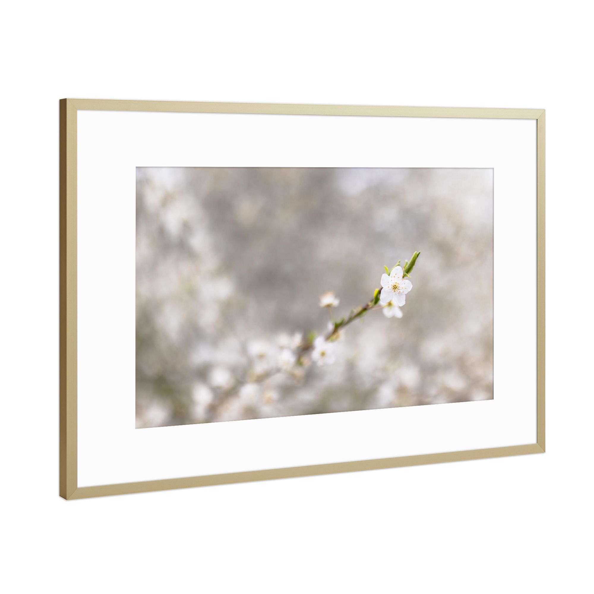 Poster mit Rahmen Gold "Blühender Frühling" artboxONE - Natur,Floral