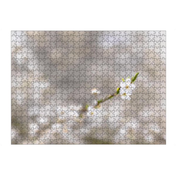 artboxONE Puzzle "Blühender Frühling" artboxONE - Natur,Floral