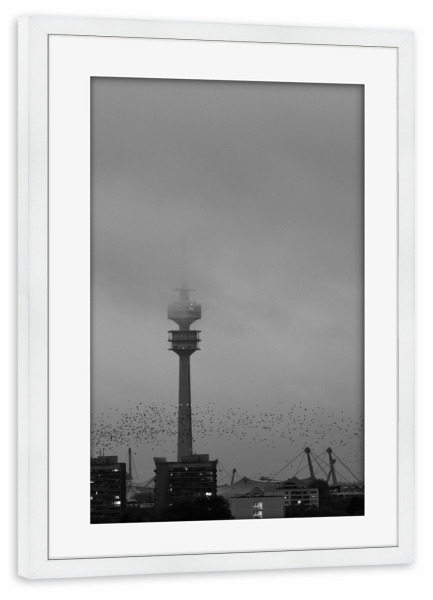 Poster mit Rahmen weiß "Zugvögel" artboxONE - Städte / München,Natur,Tiere,Schwarzweiß,Architektur