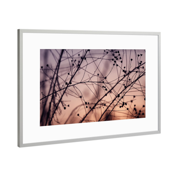 Poster mit Rahmen Silber "Silhouette Schwarz Pastell" artboxONE - Natur,Floral