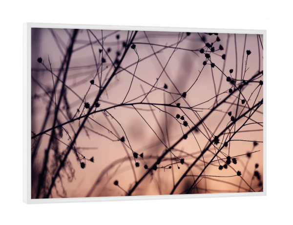 Poster mit weißem Rahmen "Silhouette Schwarz Pastell" artboxONE - Natur,Floral