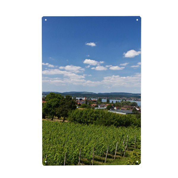 Metall Poster "Sommer auf der Insel Reichenau" artboxONE - Natur,Reise