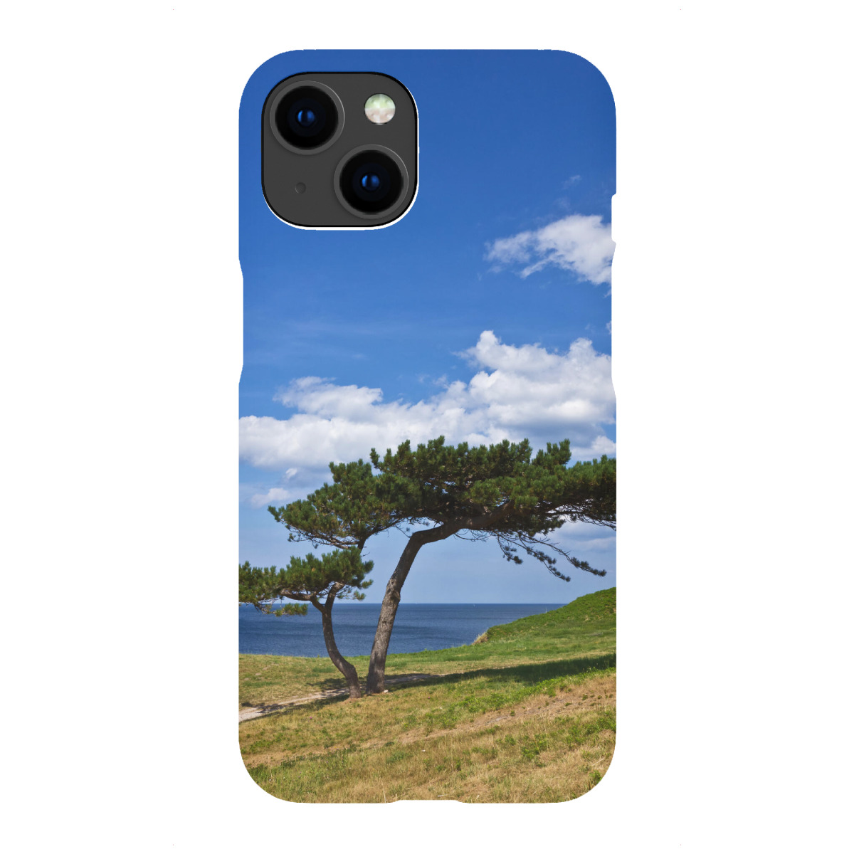 "Baum am Meer"für iPhone - Premium-Case Handyhülle artboxONE