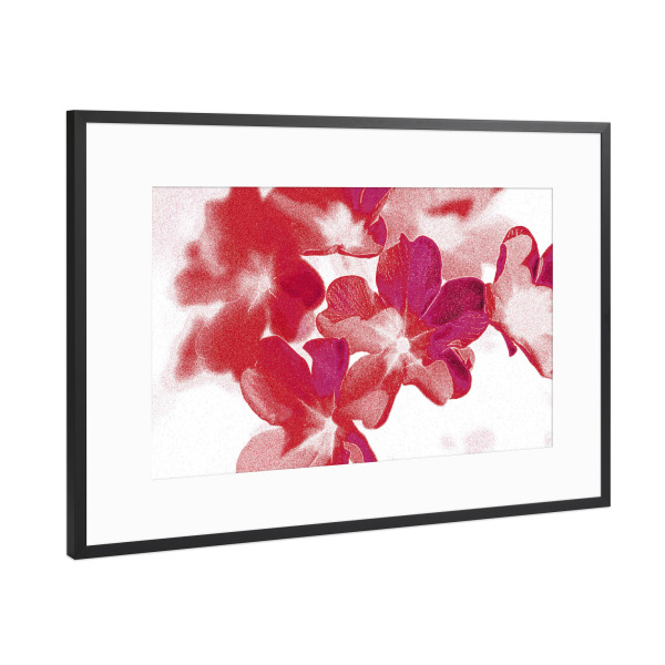 Poster mit Rahmen Schwarz (Metallic) "Abstrakte Blumen Pink Rot Weiß" artboxONE - Natur,Floral,Abstrakt,Für Mama