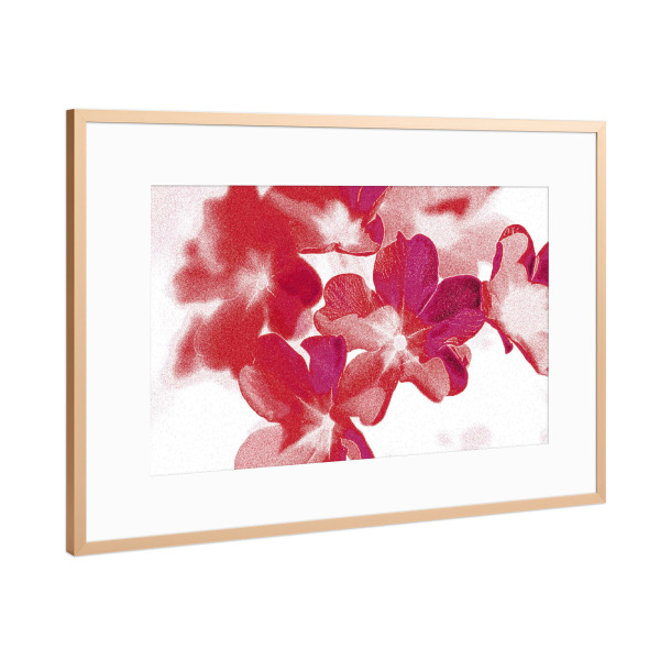 Poster mit Rahmen Kupfer "Abstrakte Blumen Pink Rot Weiß" artboxONE - Natur,Floral,Abstrakt,Für Mama