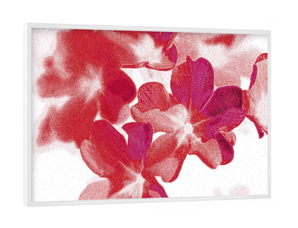 Poster mit weißem Rahmen "Abstrakte Blumen Pink Rot Weiß" artboxONE - Natur,Floral,Abstrakt,Für Mama