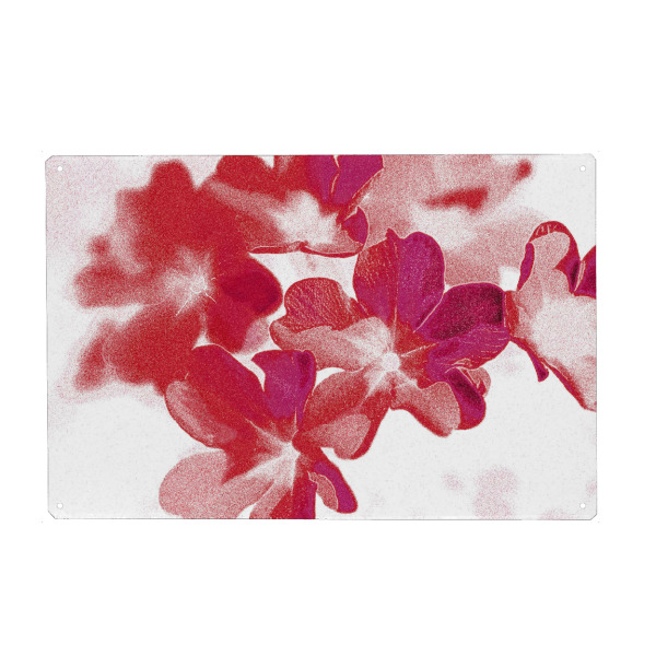 Metall Poster "Abstrakte Blumen Pink Rot Weiß" artboxONE - Natur,Floral,Abstrakt,Für Mama