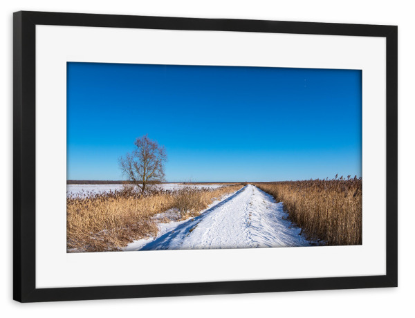 Poster mit Rahmen schwarz "Deich bei Ahrenshoop" artboxONE - Natur,Reise