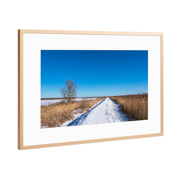 Poster mit Rahmen Kupfer "Deich bei Ahrenshoop" artboxONE - Natur,Reise