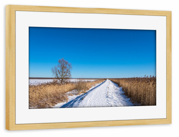 Poster mit Rahmen kiefer "Deich bei Ahrenshoop" artboxONE - Natur,Reise